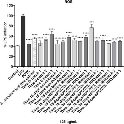 Gel formulated with Bryophyllum pinnatum leaf extract promotes skin wound healing in vivo by increasing VEGF expression: A novel potential active ingredient for pharmaceuticals